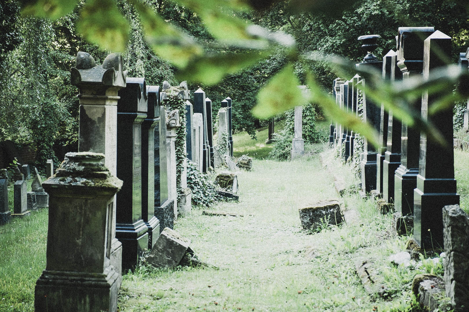 Jüdischer Friedhof Kassel-Bettenhausen